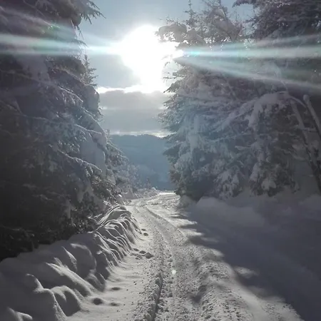 Neukam Huette Nyaraló *