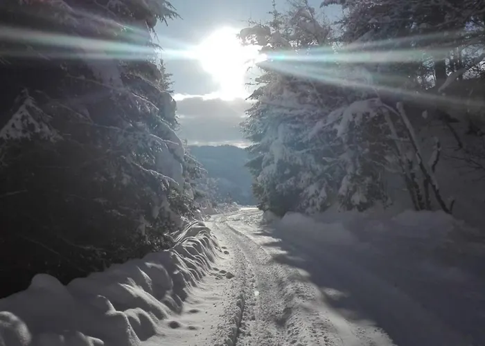 Neukam Huette Dom wakacyjny *